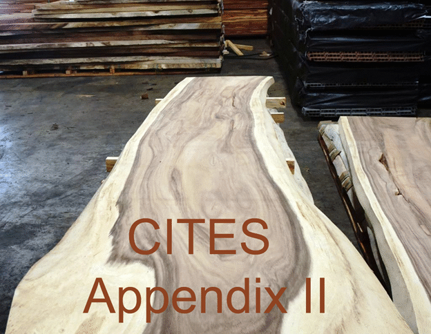 Ipe Slab with CITES Appendix II