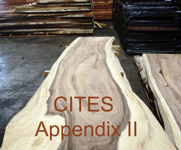 Ipe Slab with CITES Appendix II