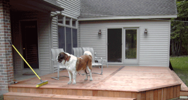 Artistic Seams with Ipe Decking - ipe-framed-divided