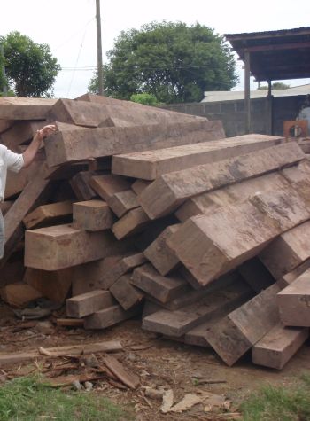 Sorting the Ipe Logs - ipe-log-4a